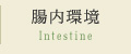 腸内環境 Intestine