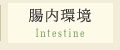 腸内環境 Intestine